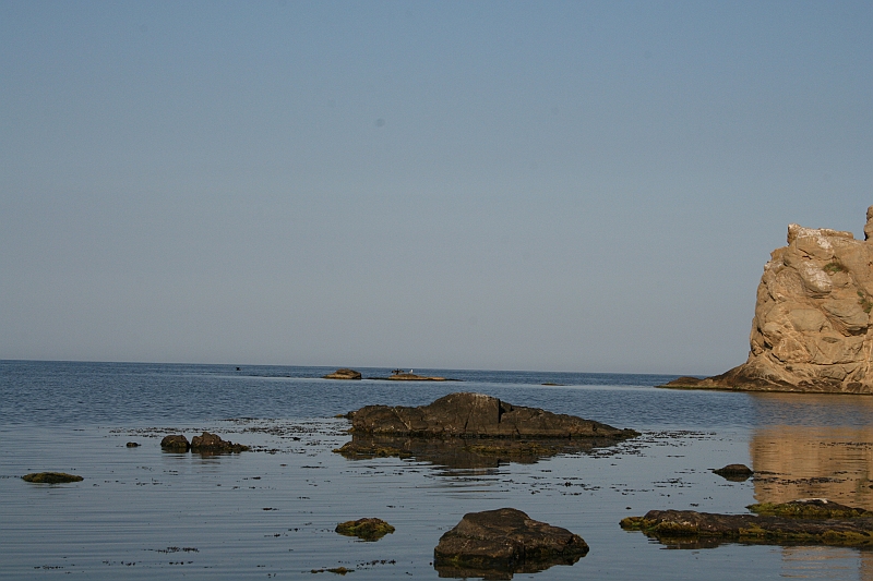 Original image